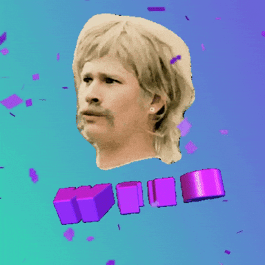 What The Wtf GIF