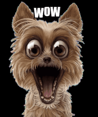 Dog Wow