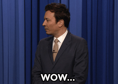 Jimmy Fallon Wow