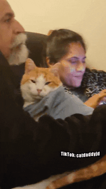 Cat Love