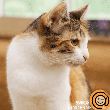 Cat Love