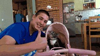 cats lol