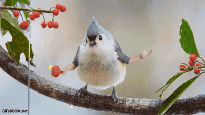Birds Arms