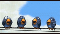 for the birds bird