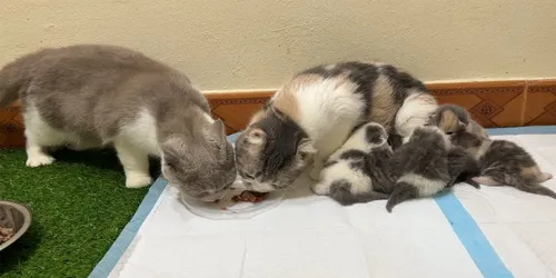 ITaTkSYyvzQ