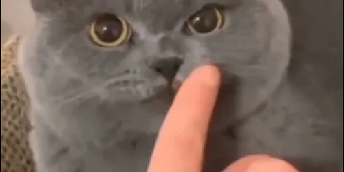 JifVdqK3B6Q
