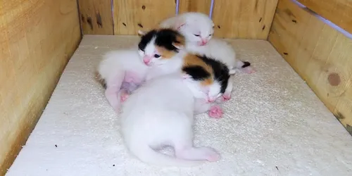 X2kBWYuPxzE