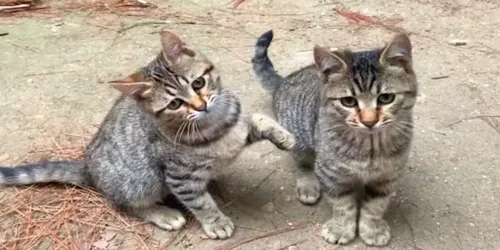 m3hZzduGOns