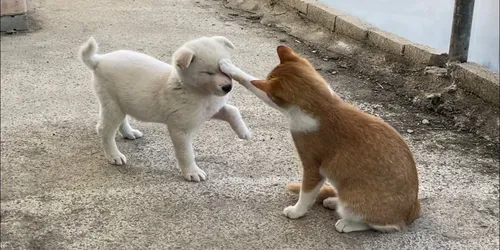 wrn0jQUKuR8